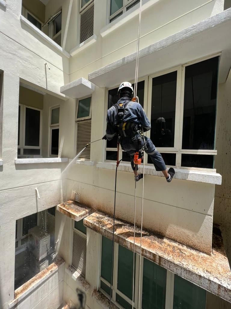 Facade Cleaning